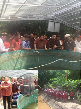 PANEN PERDANA BUDIDAYA IKAN LELE SISTEM BIOFLOK DI TUKAD BINDU